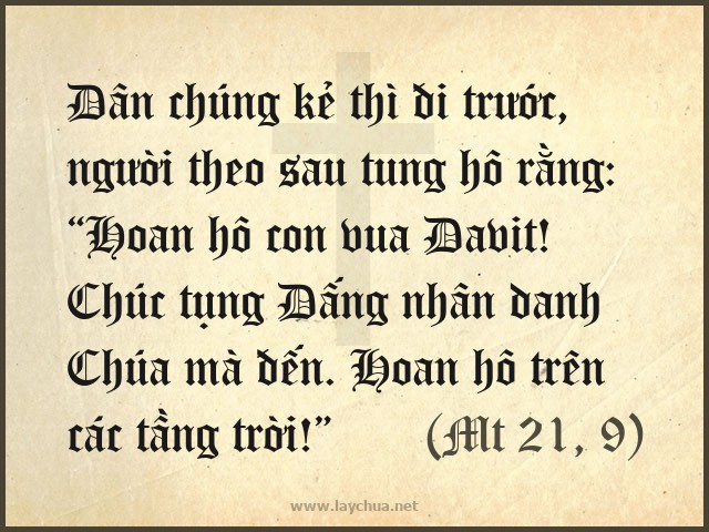 Dân chúng kẻ thì đi trước, người theo sau tung hô rằng: “Hoan hô con vua Đavit! Chúc tụng Đấng nhân danh Chúa mà đến. Hoan hô trên các tầng trời!” (Mt 21, 9)