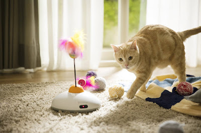 Pawbo Catch Remotely Cat Teaser Toy