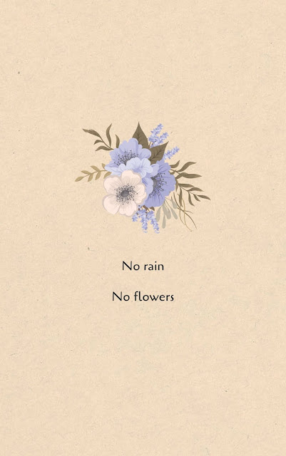 Inspirational Motivational Quotes Cards #7-24 No rain. No flowers.