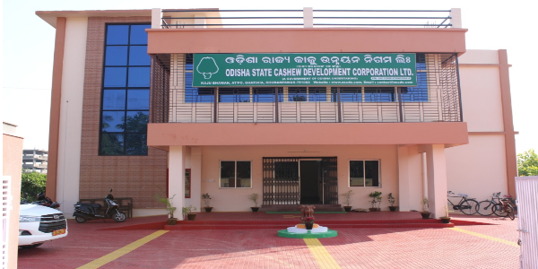 OSCDC (Odisha State Cashew Development Corporation ) Vacancy News 2022