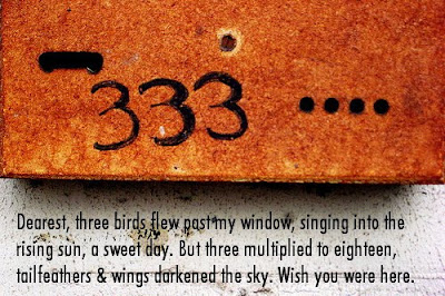 Dearest, three birds flew past my window, singing into the rising sun, a sweet day. But three multiplied to eighteen, tailfeathers & wings darkened the sky. Wish you were here.