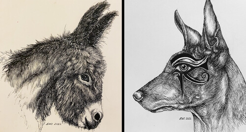 00-Animal-Drawings-Elise-Church-www-designstack-co