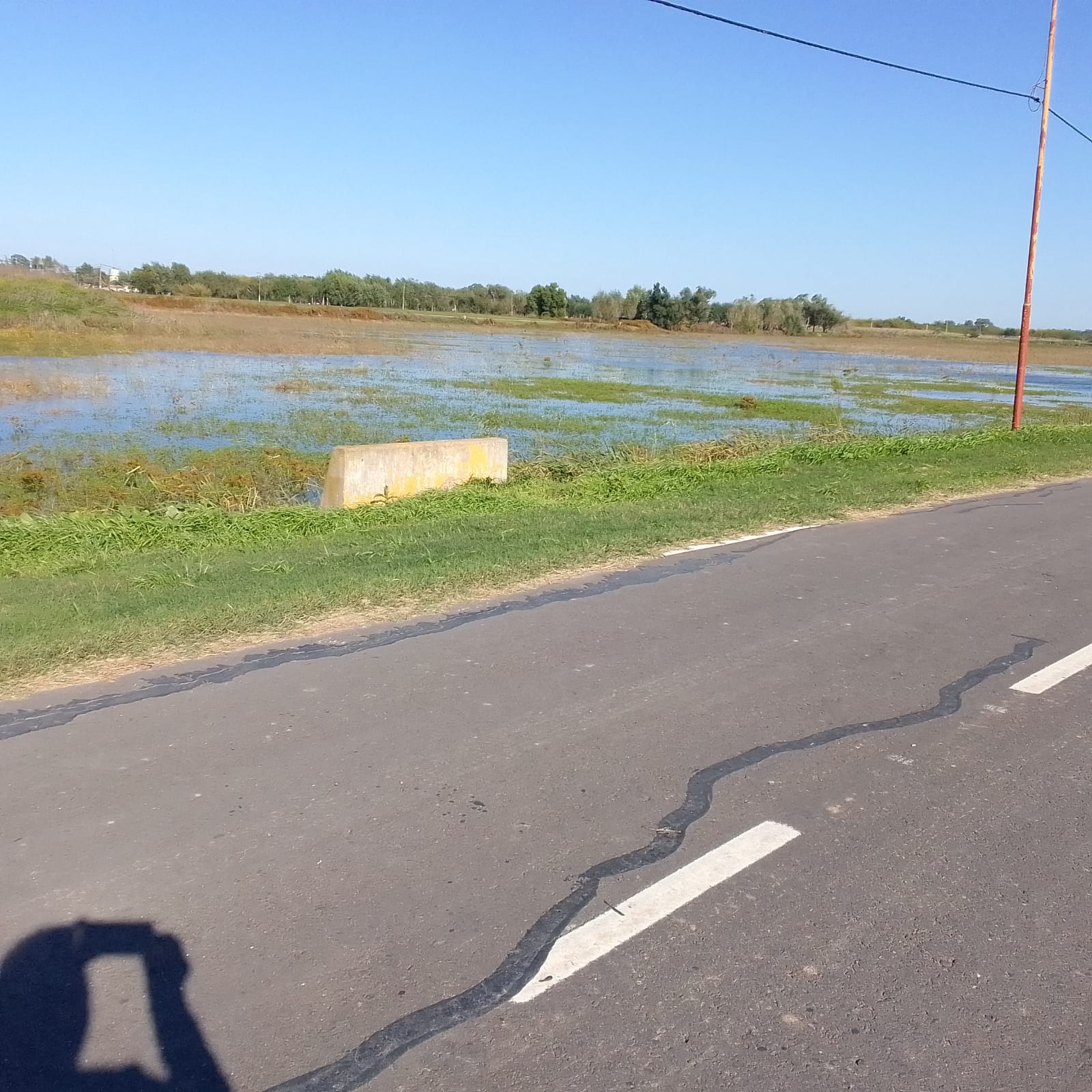 Nuestra laguna ha vuelto a tener agua después de mucho tiempo.