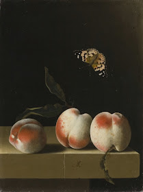 Natures mortes d'Adriaen Coorte,