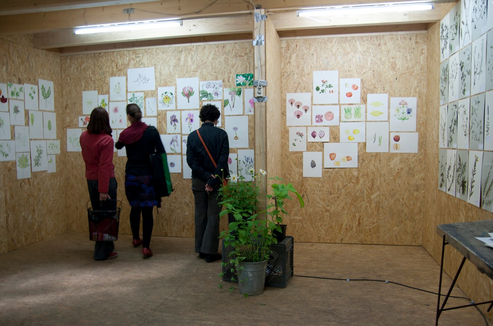 Berlin Drawing Room: Botanical Drawing Exhibition ...
