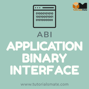 Full Form ABI - Application Binary Interface