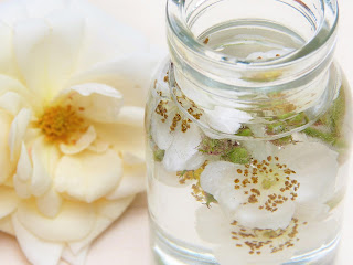 Rose Water For Your Skin and Hair - Benefits and How to Use