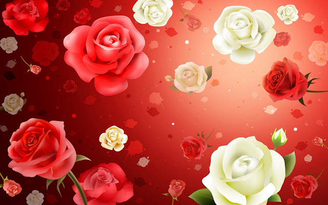 Beautiful Red And White Rose Flower Wallpaper