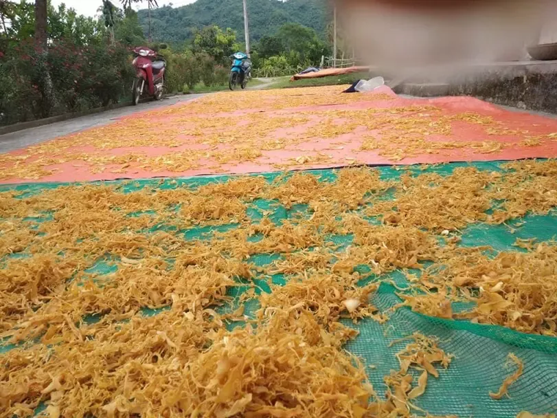 Măng khô rối Tây Bắc