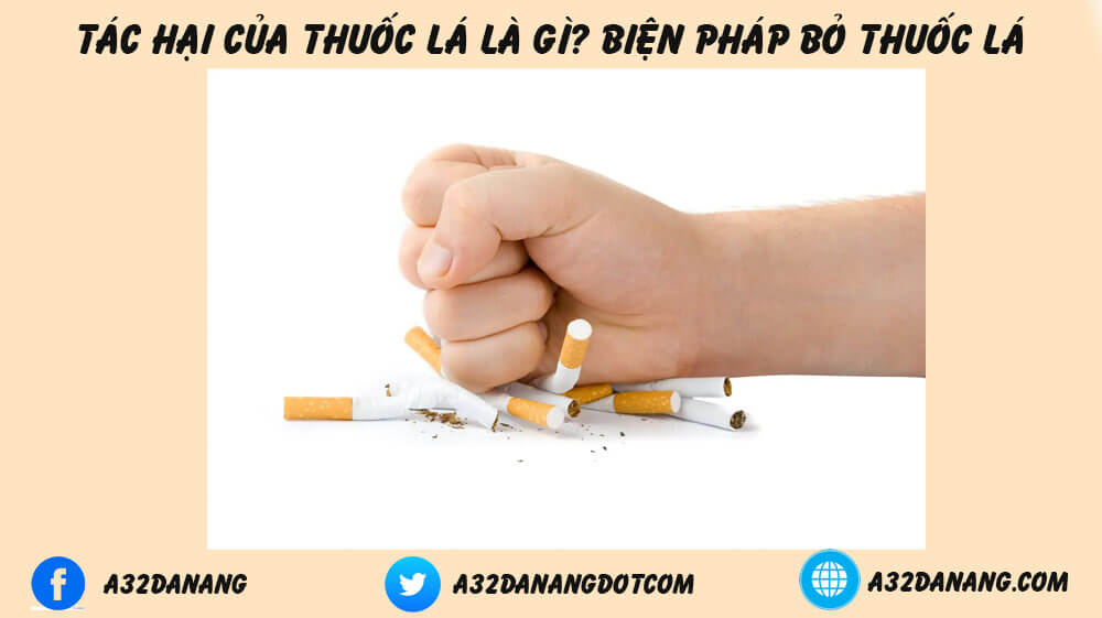 loại bỏ thuốc lá