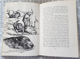 Photo of p. 16-17, Beaver Valley, Leslie Morrill's illustration, text by Walter D. Edmonds