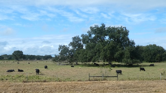 P1090061
