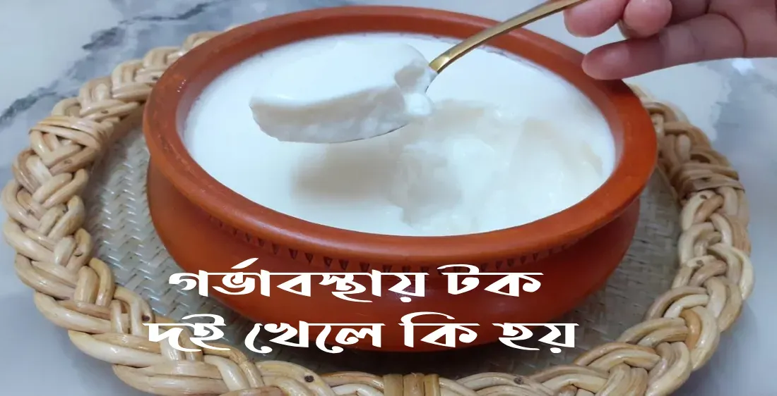 গর্ভাবস্থায় টক দই খেলে কি হয়