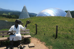 Fukui Dinosaur Museum