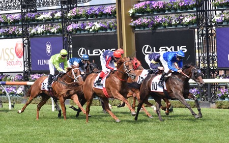 race 5_finish 4