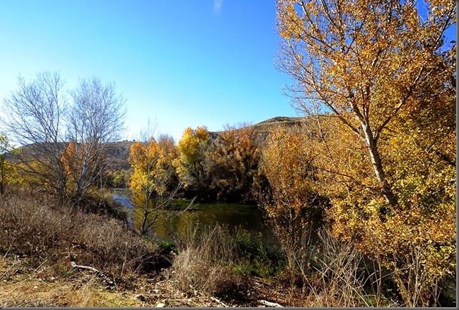 11_DSC0634x1