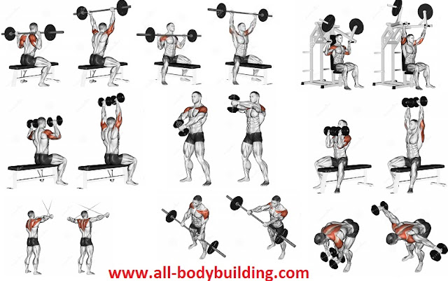 Shoulder workouts