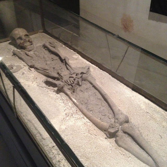 500-year old skeletal remains 