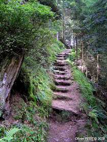 GERARDMER (88) - Le sentier écologique des Perles de la Vologne 