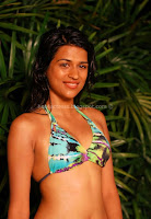 Shraddha, das, hot, bikini, photos