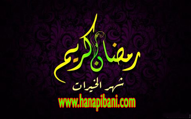 www.hanapibani.com