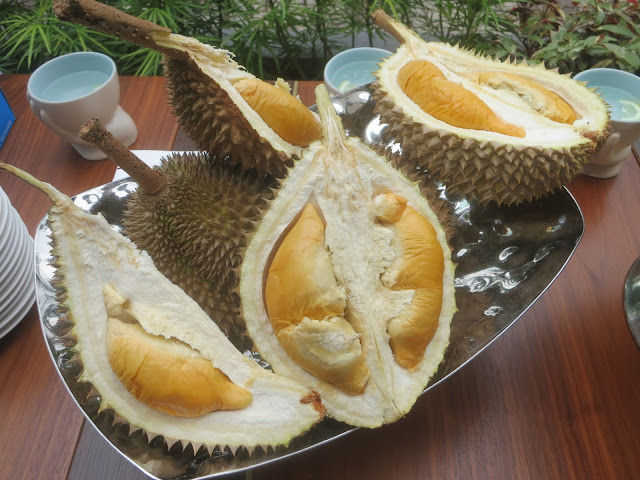 d23 durian