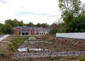 a rain garden along the entrance way