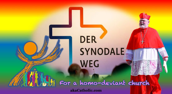 Catholic Germany heresy apostasy homosexuality gay clergy kulturcampf synodality bishops sodomy