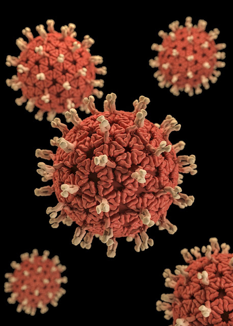 Coronavirus (COVID-19) Outbreaks in India