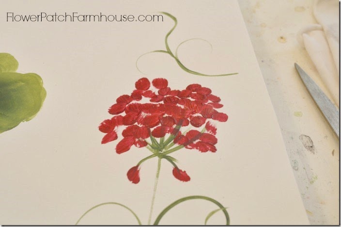geranium basket9