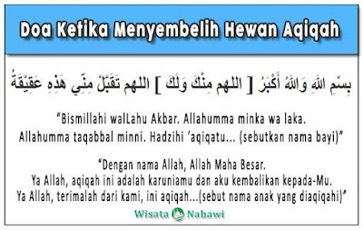 Jasa Layanan Paket Kambing Aqiqah Di Cileungsi Cipenjo Free Ongkir COD