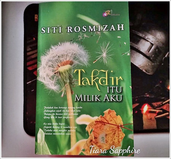 Takdir Itu Milik Aku by Siti Rosmizah | Review Novel