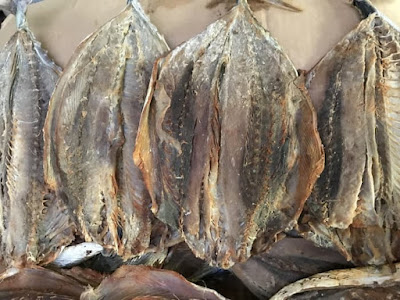 Kandungan Gizi Ikan Tongkol dan Beberapa Bentuk Olahannya - Biota Dunia