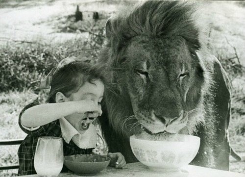 30 funny pictures of cute kids hanging out with animals, kids and animals