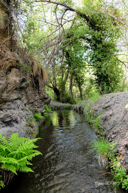 Acequia Alcázar, Jérez del Marquesado