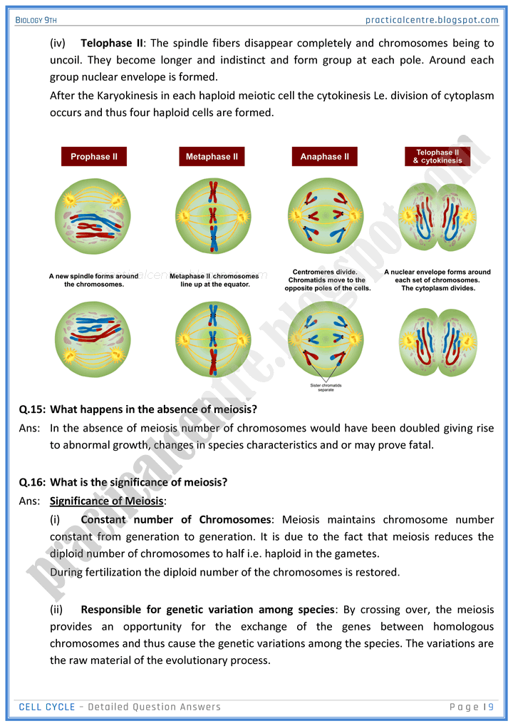 cell-cycle-detailed-question-answers-biology-9th-notes