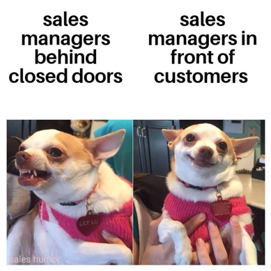 sales-manager-meme
