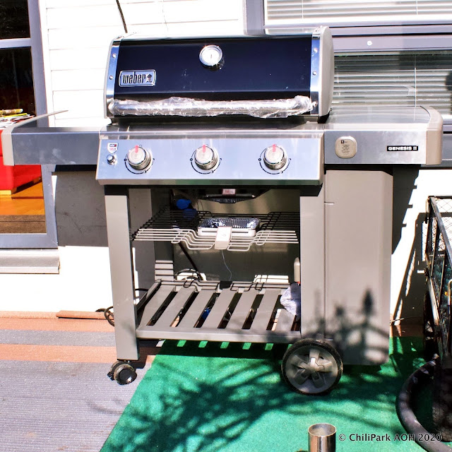 Weber Genesis II E-330 GBS