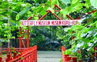 15+ Taman Kupu Kupu Bantimurung 