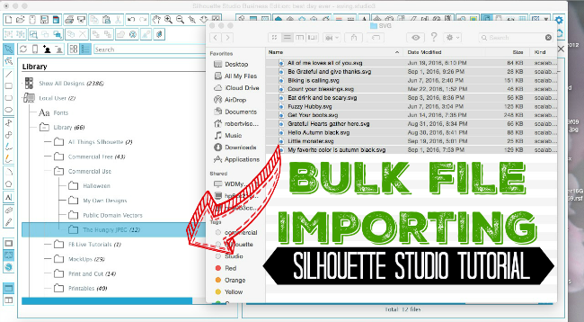 Download Bulk Importing Files Into Silhouette Studio Library - Silhouette School