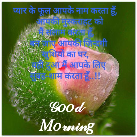 good morning quotes in hindi new 2022 good morning quotes in hindi 2021 good morning quotes in english पॉजिटिव गुड मॉर्निंग कोट्स लेटेस्ट गुड मॉर्निंग टॉप गुड मॉर्निंग कोट्स