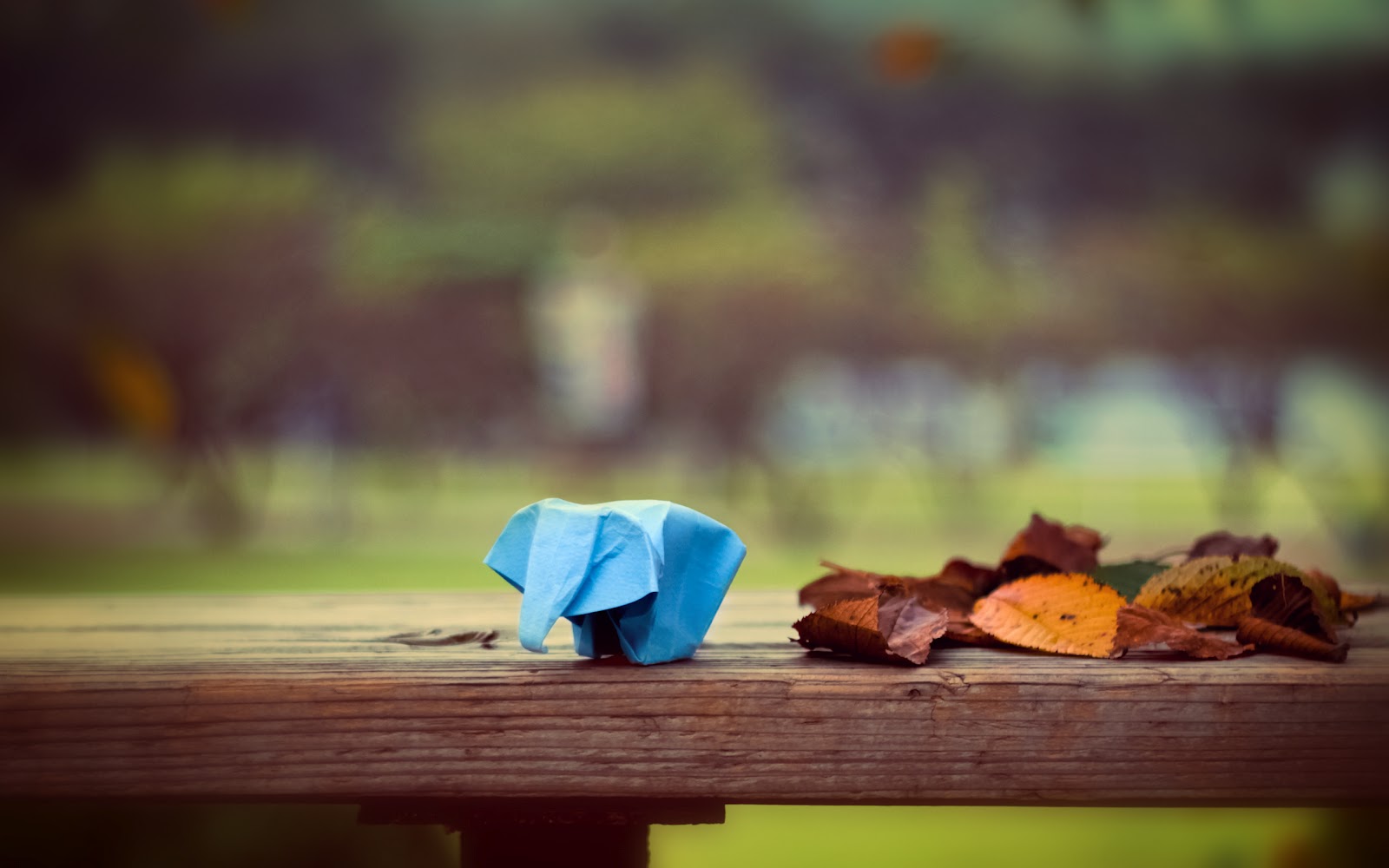 ... paper ellephant on a bench in a sad day, 2012 free download wallpapers