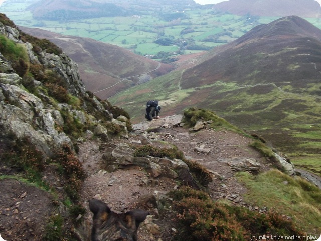 henry tackles a rockstep