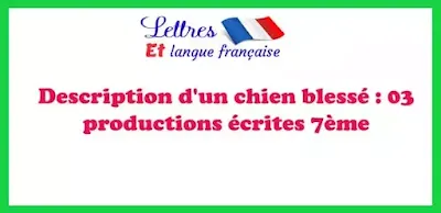 description-d-un-chien-blessé-production-7eme