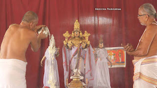 Sri Narasimha Swamy, Dhavana Utsavam, Theliya Singar, Azhaiya Singar,Thirumanjanam, Purappadu,  Triplicane,  Purappadu, Thiruvallikeni, Utsavam, 