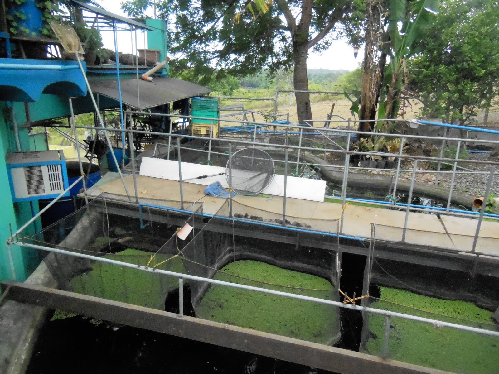waiting on the rainy season: an echo asia blog: lessons