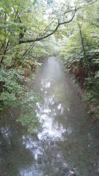 かに坂公園手前の玉川上水