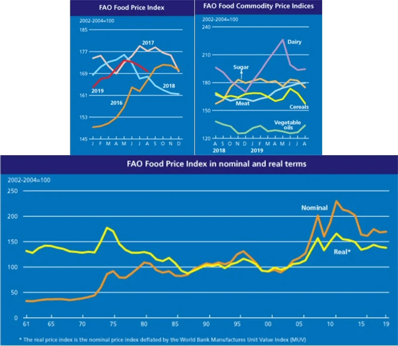 2019년 8월 세계식량가격지수 전월 대비 1.1% 하락, 전년 대비 1.1% 상승