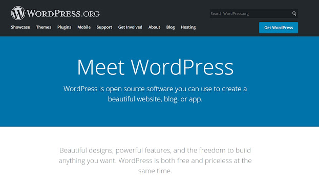 10 Steps You Should Follow to Start a WordPress Blog