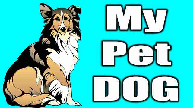 German shepard dog image used for english essay on my pet dog